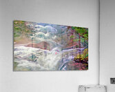 rapid heart hydrology Acrylic Print