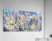 go time : panoramic orientation Acrylic Print