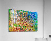 where the wild thigs are Acrylic Print