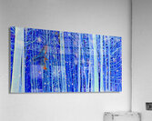 cold burn Acrylic Print