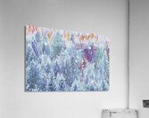 terra ratta dawn patrol Acrylic Print