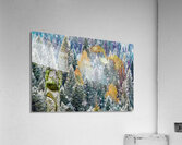 go time Acrylic Print