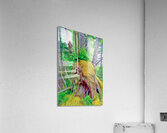 an east coast toast to viking roots Acrylic Print