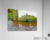 avatar grove balancing act Impression acrylique