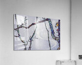 beakaboo   landcape orientaton Acrylic Print