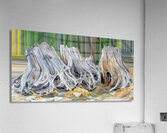 roots heart rocks and a fox Acrylic Print