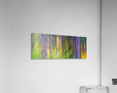 fired up Acrylic Print