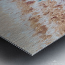 soaring over the hearts of the Kootenais Metal print