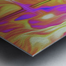 feathers and fire Metal print