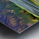 Mataoes heavenly Saulute Metal print