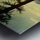 Loki Doki Golden Delight Metal print