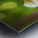 magic underfoot Metal print