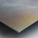 into the mystic Metal print