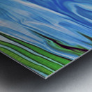 Paws for reflection : panoramic orientation Metal print