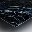 night Caw Cawler Metal print