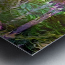 Svelt Velvet Sunrise Impression metal