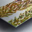 tricksters glow : landscape orientation Metal print