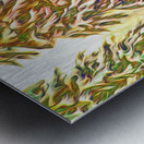 tricksters glow Panoramic Orientation Metal print