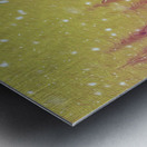 whiskey jacked sunrise Metal print