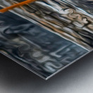 tricksters and shape shifters Metal print