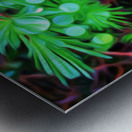 the black pearl of grose morne Impression metal