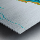 water dragon Metal print