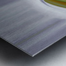 24 karat may day magico Metal print