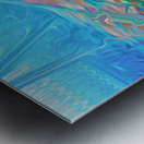  fraser river dance Metal print