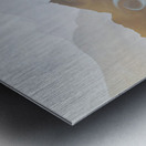 get up to get down landscape orientation Metal print