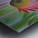 acknOWLedged Metal print