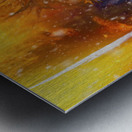 out of the burn and into the berms Metal print