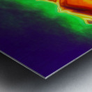 Denalis Dance Metal print