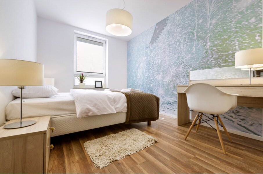 watching from above Mural print