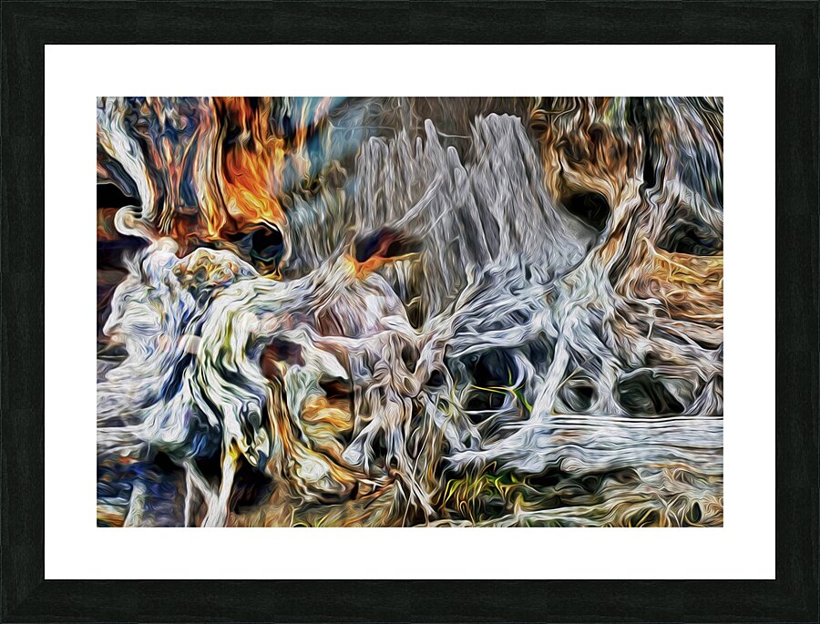 petrified at low tide Picture Frame print