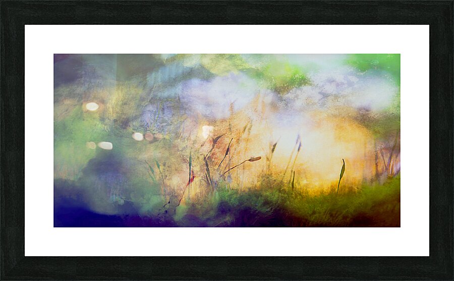 early bird Impression et Cadre photo