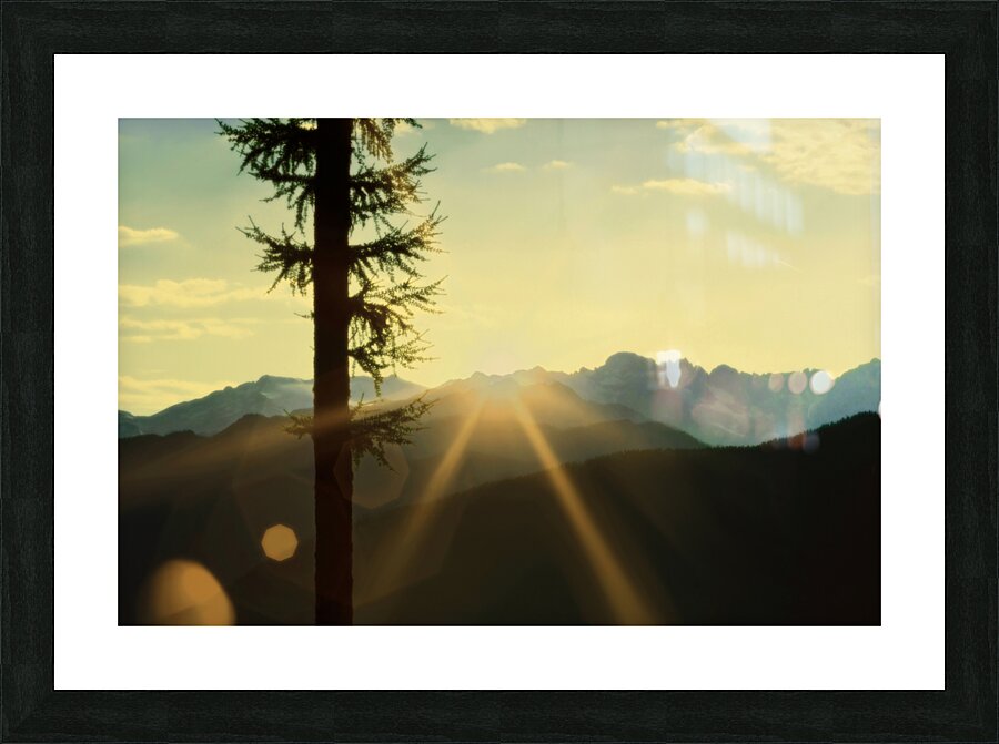 Loki Doki Golden Delight Picture Frame print