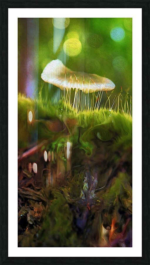 magic underfoot Picture Frame print