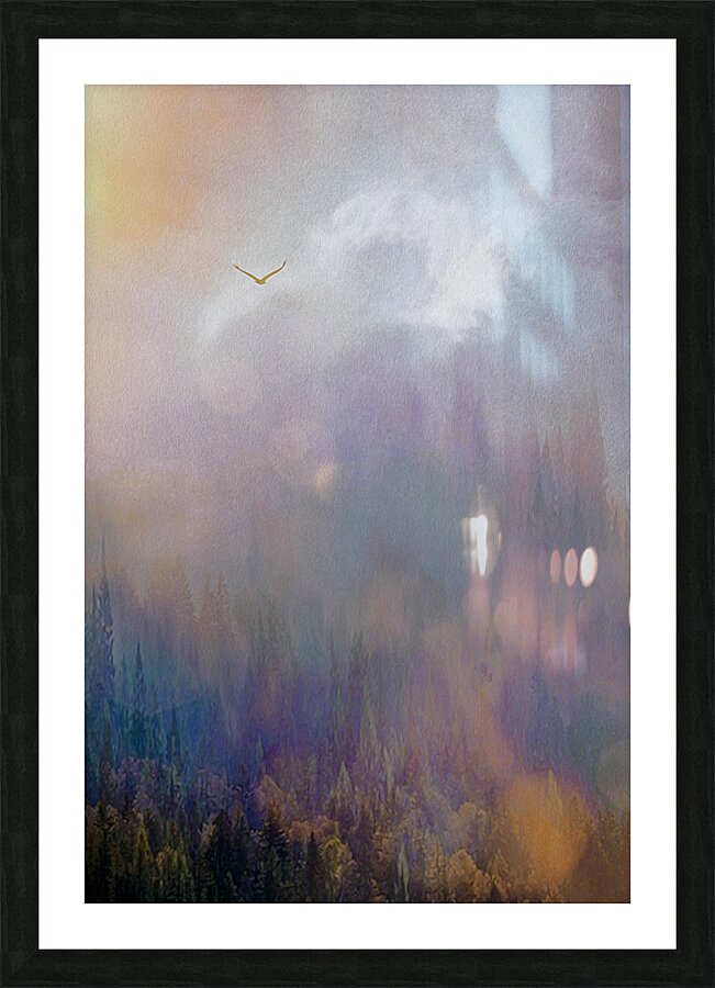 into the mystic Picture Frame print