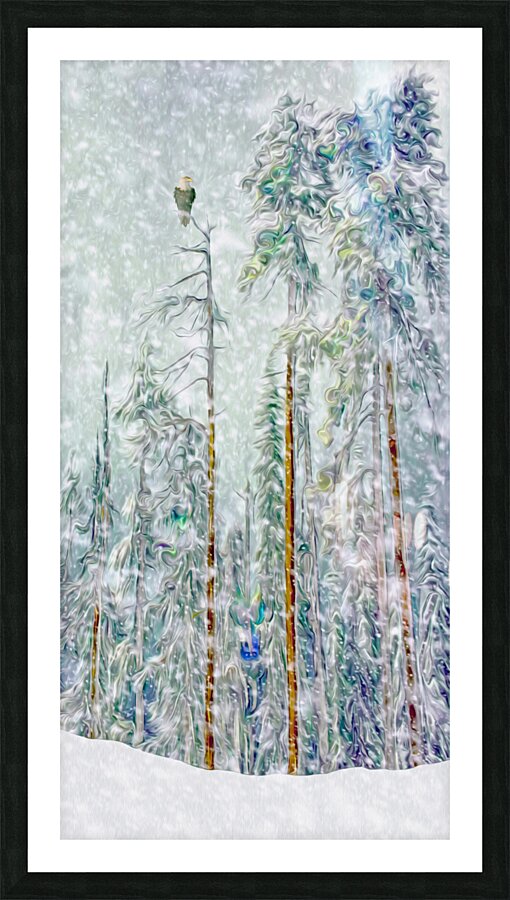 patience Picture Frame print