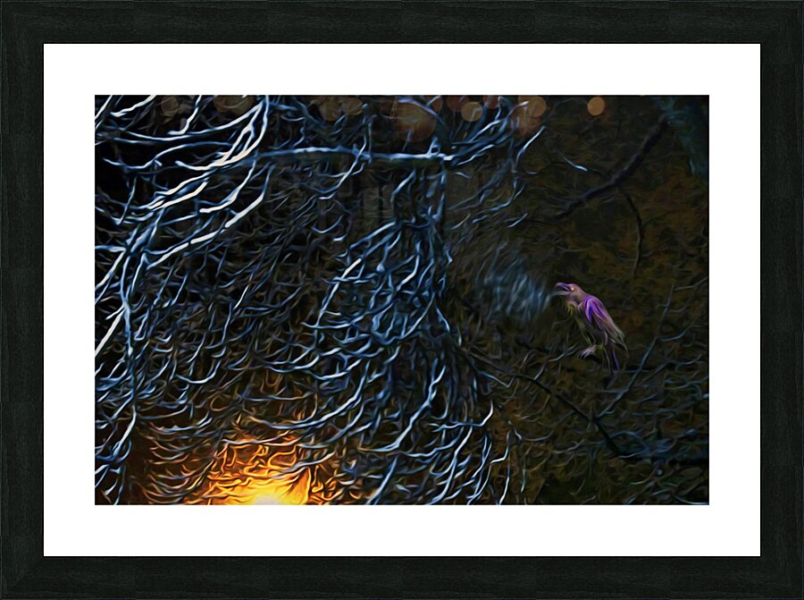 night Caw Cawler Picture Frame print