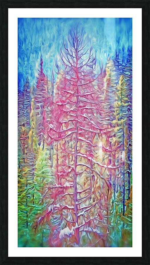 pink spring chinook Picture Frame print