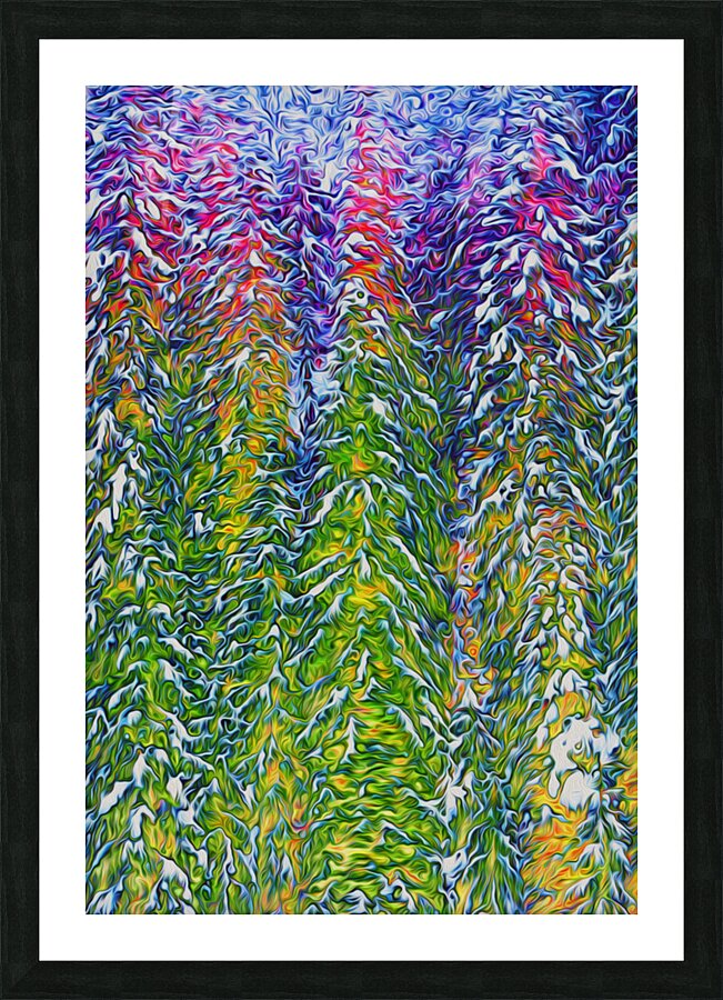 presimmon cardigan coniferous sunrise Landscape O Picture Frame print