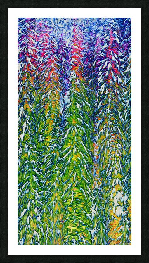 presimmon cardigan coniferous sunrise  Picture Frame print