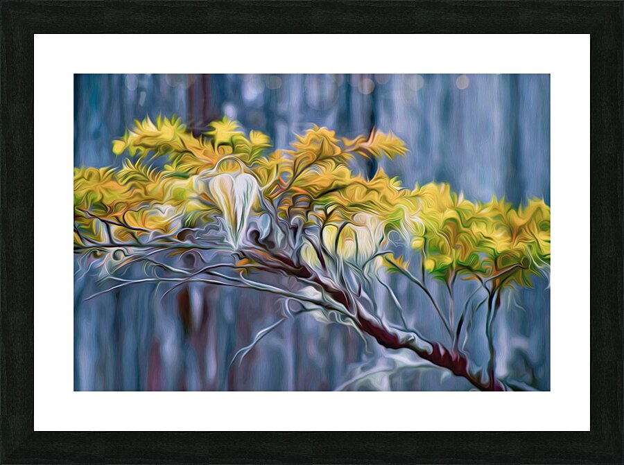 moss hawk Picture Frame print