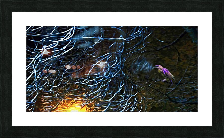 night Caw Cawler : Panoramic Orientation Picture Frame print