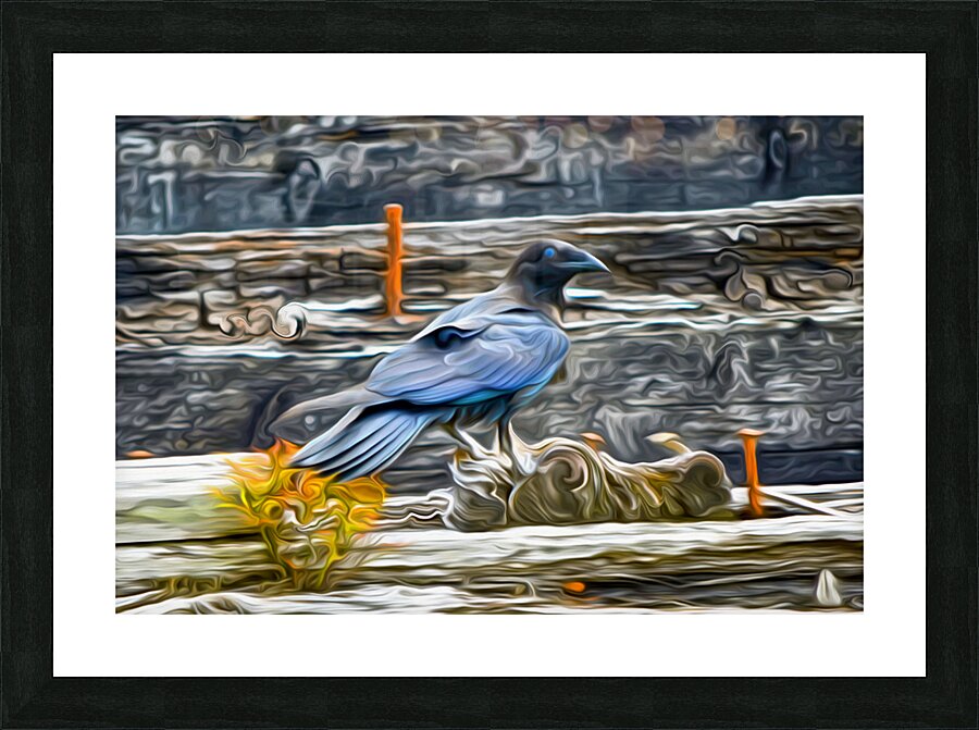 tricksters and shape shifters Picture Frame print