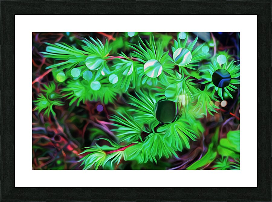 the black pearl of grose morne Impression et Cadre photo