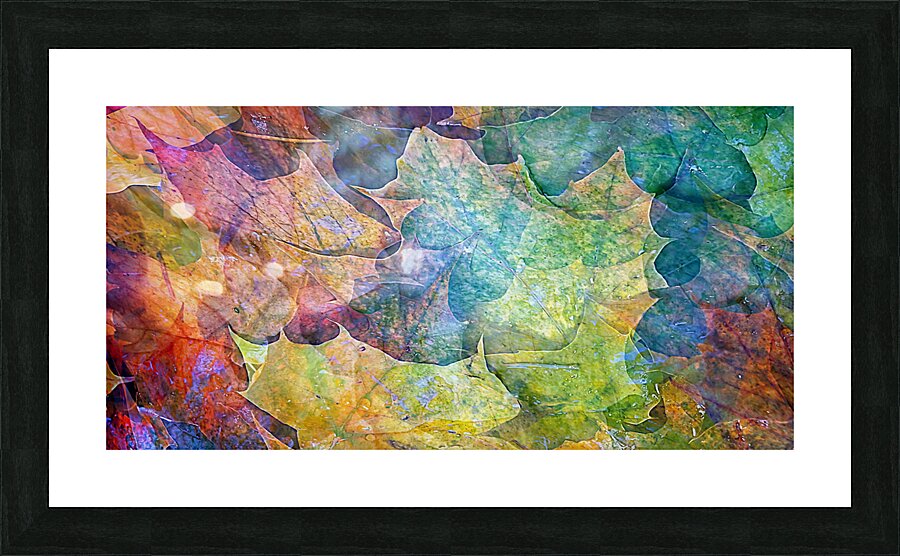 september super natural Picture Frame print