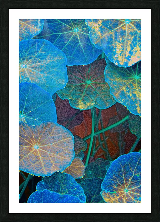 avatar star fowers Picture Frame print