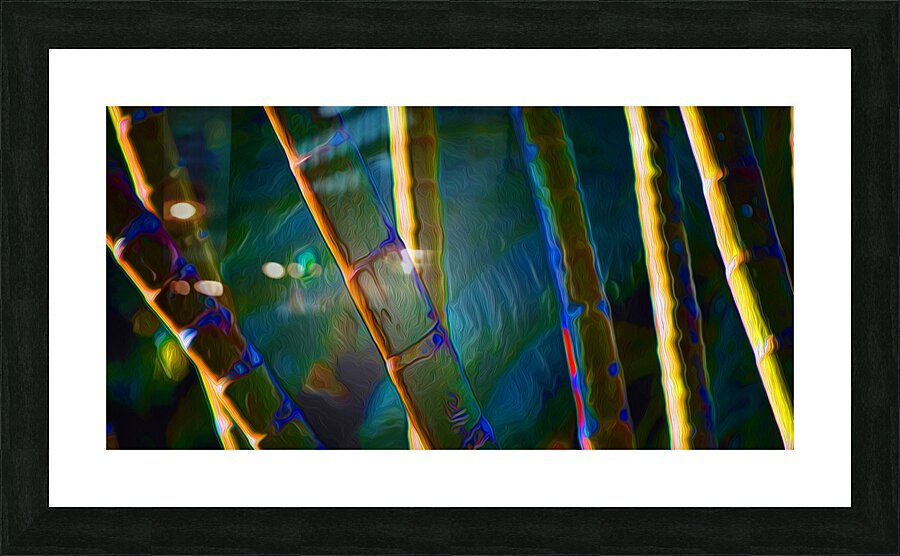 Bamboozled Impression et Cadre photo